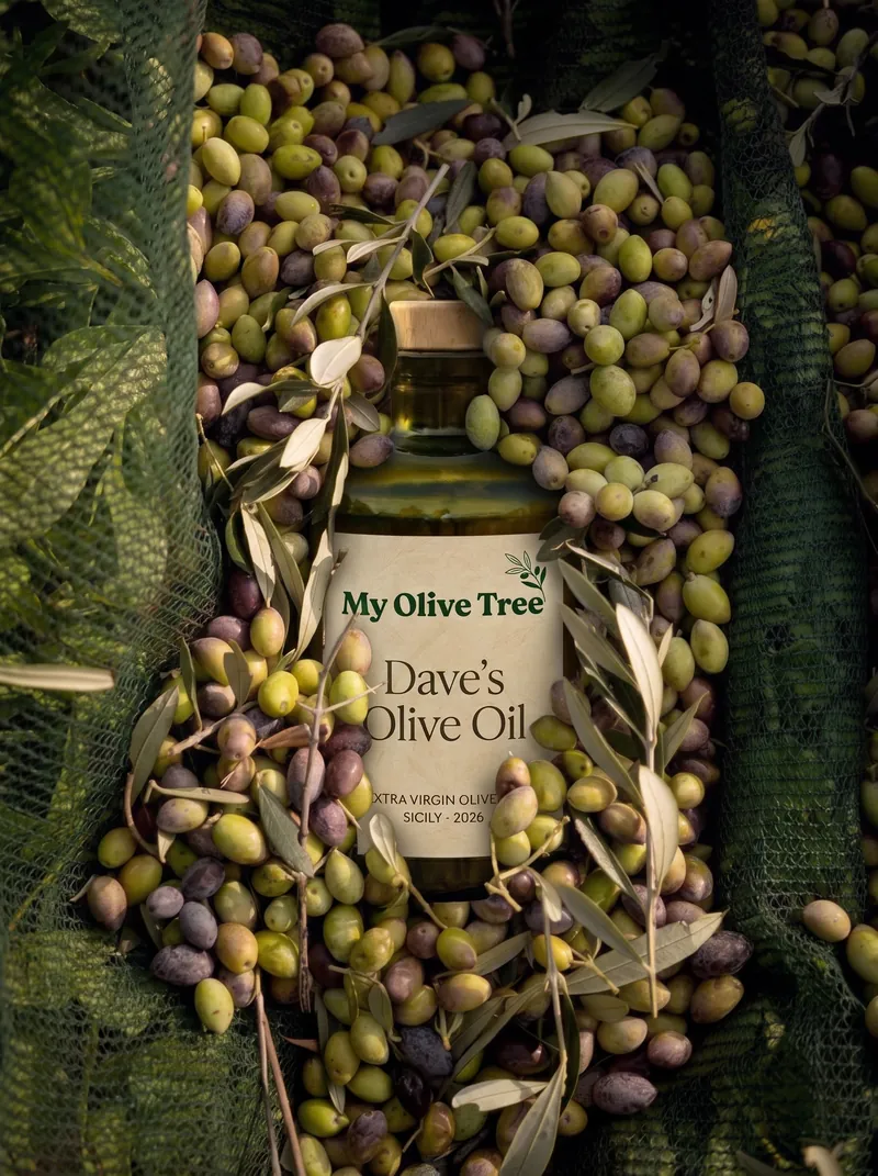 A custom-labeled bottle of extra virgin olive oil resting in freshly picked olives.
