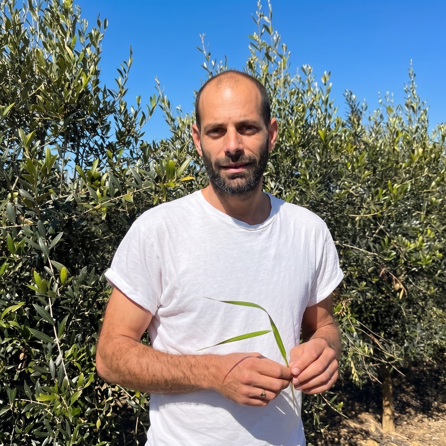 Lorenzo Fanelli, keeper of the Puglian estate